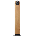 Sus Big One Oak Black