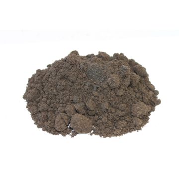 Teelaarde (zwarte grond)