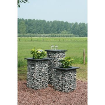 Schanskorf Zuilen
