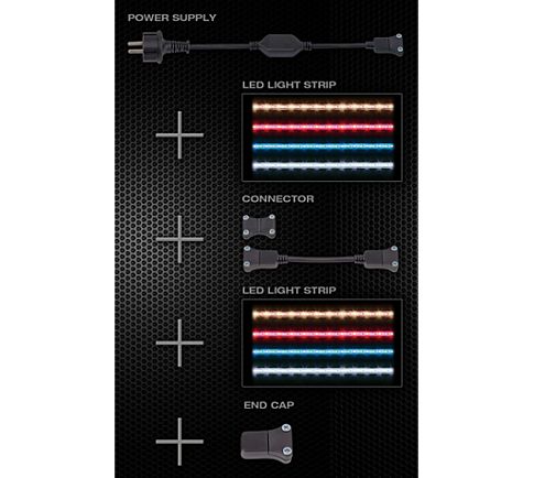 Starterkit + slang