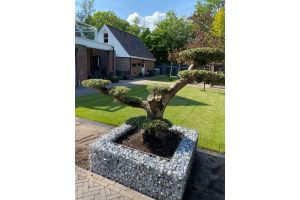 Schanskorf bloembak – Schanskorf bloembak