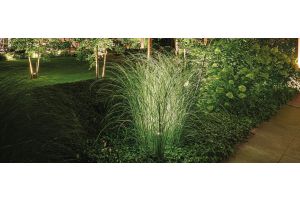 Spots Algemeen Sfeer – LED verlichting. Spots Algemeen Sfeer