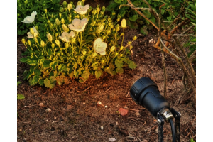 Spots Algemeen Sfeer – LED verlichting. Spots Algemeen Sfeer