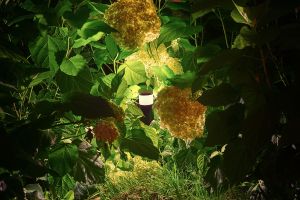 Sense sfeer1 – LED verlichting. Sense sfeer1