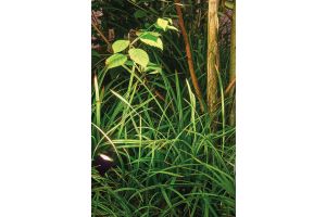 Spots Algemeen Sfeer – LED verlichting. Spots Algemeen Sfeer