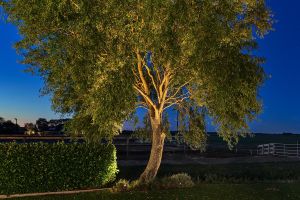 Spots Algemeen Sfeer – LED verlichting. Spots Algemeen Sfeer