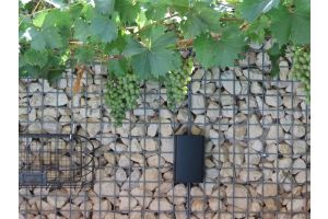 LED verlichting – LED verlichting. LED verlichting