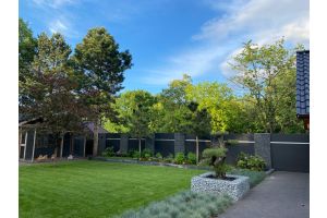 Bloembak steinkoerbe – Schanskorf bloembak