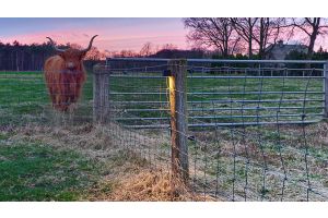 Wandlamp Sfeer Algemeen – LED verlichting. Wandlamp Sfeer Algemeen