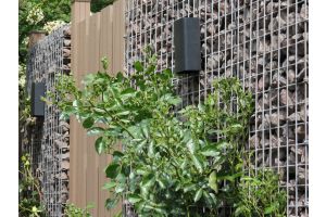 LED verlichting – LED verlichting. LED verlichting