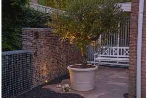 Spots Algemeen sfeer11 – LED verlichting. Spots Algemeen sfeer11