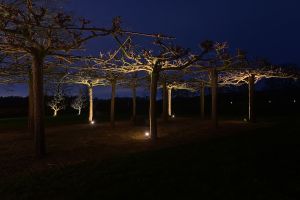 Aan en Uitfoto`s (1) – LED verlichting