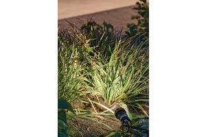 Spots Algemeen Sfeer – LED verlichting. Spots Algemeen Sfeer