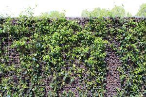 Schanskorven Opbouw – Opbouwteam. Schanskorven Opbouw