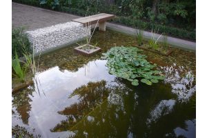 Schanskorf gartenteich sitzbank – Schanskorf tuinbanken