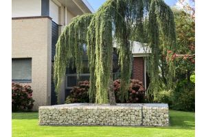 Schanskorven Bloembak met Yellow Sun – Yellow Sun breukstenen. Schanskorven Bloembak met Yellow Sun