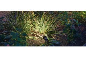 Spots Algemeen Sfeer – LED verlichting. Spots Algemeen Sfeer