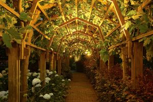 Spots Algemeen Sfeer – LED verlichting. Spots Algemeen Sfeer