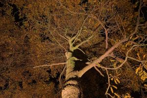 Verlichting Algemeen sfeer9 – LED verlichting. Verlichting Algemeen sfeer9